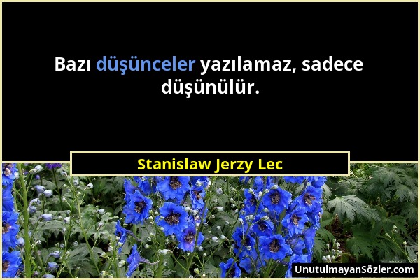 Stanislaw Jerzy Lec - Bazı düşünceler yazılamaz, sadece düşünülür....