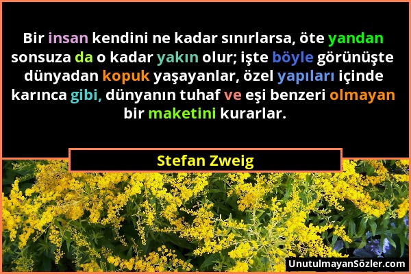 Stefan Zweig - Bir insan kendini ne kadar sınırlarsa, öte yandan sonsuza da o kadar yakın olur; işte böyle görünüşte dünyadan kopuk yaşayanlar, özel y...