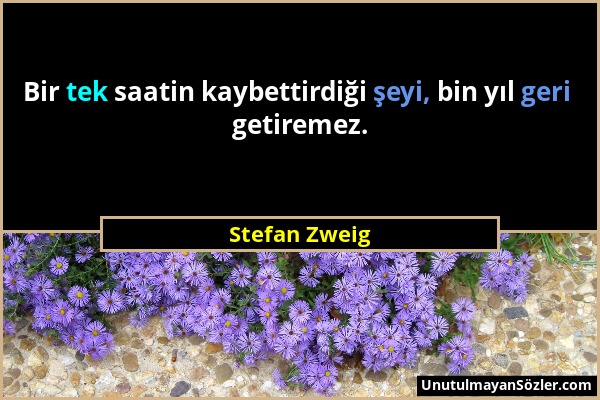 Stefan Zweig - Bir tek saatin kaybettirdiği şeyi, bin yıl geri getiremez....