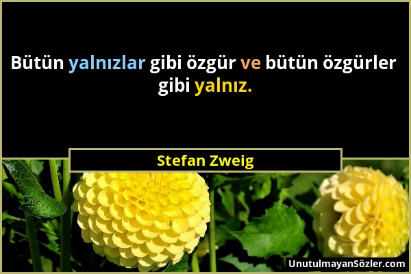 Stefan Zweig - Bütün yalnızlar gibi özgür ve bütün özgürler gibi yalnız....