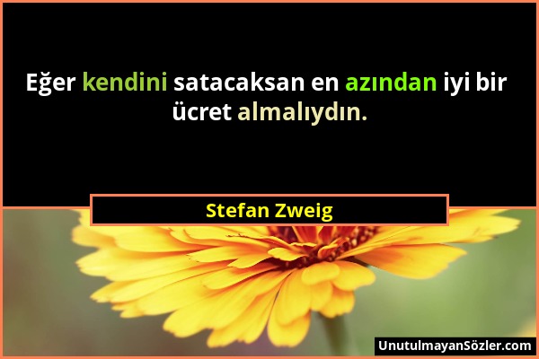 Stefan Zweig - Eğer kendini satacaksan en azından iyi bir ücret almalıydın....