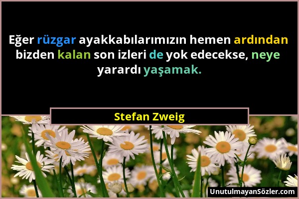 Stefan Zweig - Eğer rüzgar ayakkabılarımızın hemen ardından bizden kalan son izleri de yok edecekse, neye yarardı yaşamak....