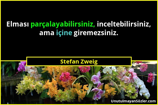 Stefan Zweig - Elması parçalayabilirsiniz, inceltebilirsiniz, ama içine giremezsiniz....