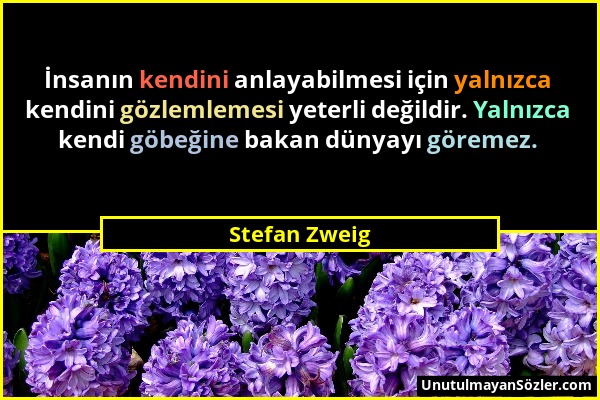 Stefan Zweig - İnsanın kendini anlayabilmesi için yalnızca kendini gözlemlemesi yeterli değildir. Yalnızca kendi göbeğine bakan dünyayı göremez....