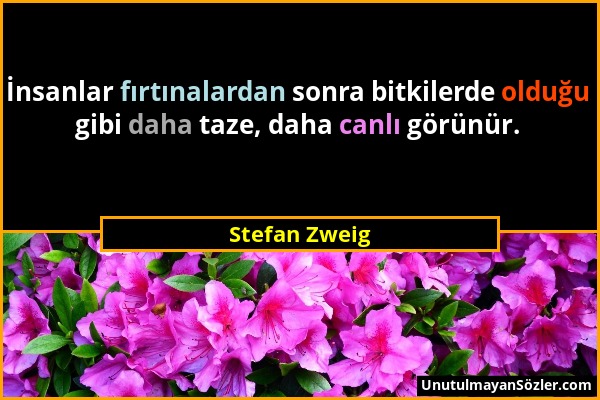 Stefan Zweig - İnsanlar fırtınalardan sonra bitkilerde olduğu gibi daha taze, daha canlı görünür....