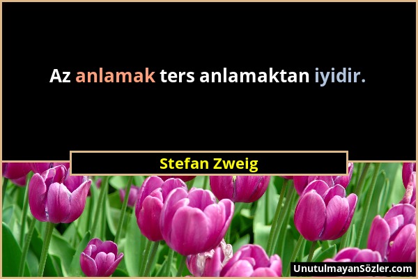 Stefan Zweig - Az anlamak ters anlamaktan iyidir....