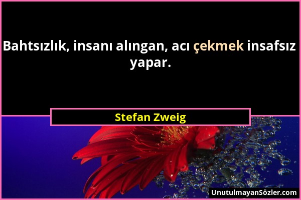 Stefan Zweig - Bahtsızlık, insanı alıngan, acı çekmek insafsız yapar....