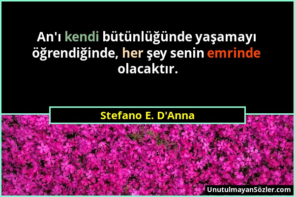 Stefano E. D'Anna - An'ı kendi bütünlüğünde yaşamayı öğrendiğinde, her şey senin emrinde olacaktır....