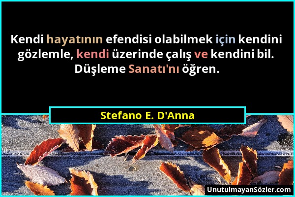 Stefano E. D'Anna - Kendi hayatının efendisi olabilmek için kendini gözlemle, kendi üzerinde çalış ve kendini bil. Düşleme Sanatı'nı öğren....