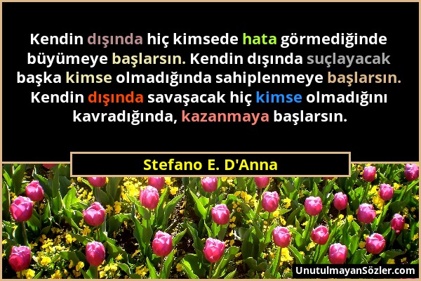 Stefano E. D'Anna - Kendin dışında hiç kimsede hata görmediğinde büyümeye başlarsın. Kendin dışında suçlayacak başka kimse olmadığında sahiplenmeye ba...