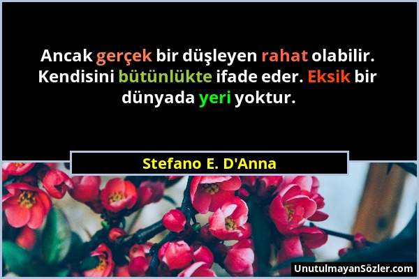 Stefano E. D'Anna - Ancak gerçek bir düşleyen rahat olabilir. Kendisini bütünlükte ifade eder. Eksik bir dünyada yeri yoktur....