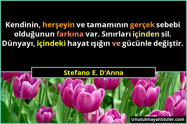 Stefano E. D'Anna - Kendinin, herşeyin ve tamamının gerçek sebebi olduğunun farkına var. Sınırları içinden sil. Dünyayı, içindeki hayat ışığın ve gücü...