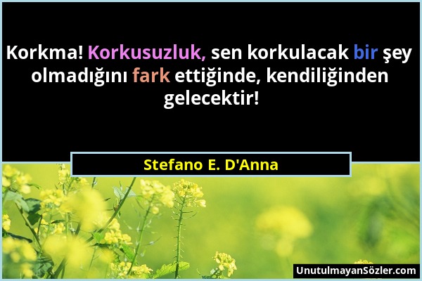 Stefano E. D'Anna - Korkma! Korkusuzluk, sen korkulacak bir şey olmadığını fark ettiğinde, kendiliğinden gelecektir!...