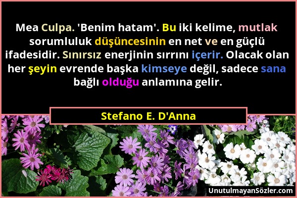 Stefano E. D'Anna - Mea Culpa. 'Benim hatam'. Bu iki kelime, mutlak sorumluluk düşüncesinin en net ve en güçlü ifadesidir. Sınırsız enerjinin sırrını...