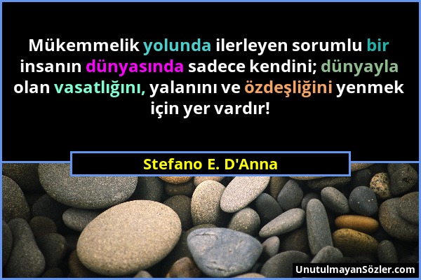 Stefano E. D'Anna - Mükemmelik yolunda ilerleyen sorumlu bir insanın dünyasında sadece kendini; dünyayla olan vasatlığını, yalanını ve özdeşliğini yen...