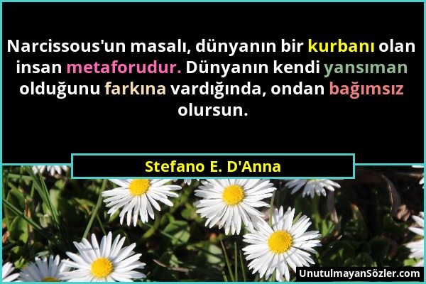 Stefano E. D'Anna - Narcissous'un masalı, dünyanın bir kurbanı olan insan metaforudur. Dünyanın kendi yansıman olduğunu farkına vardığında, ondan bağı...
