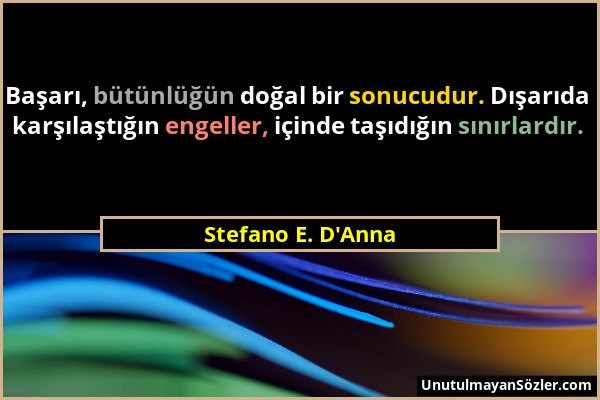 Stefano E. D'Anna - Başarı, bütünlüğün doğal bir sonucudur. Dışarıda karşılaştığın engeller, içinde taşıdığın sınırlardır....