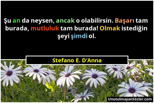 Stefano E. D'Anna - Şu an da neysen, ancak o olabilirsin. Başarı tam burada, mutluluk tam burada! Olmak istediğin şeyi şimdi ol....