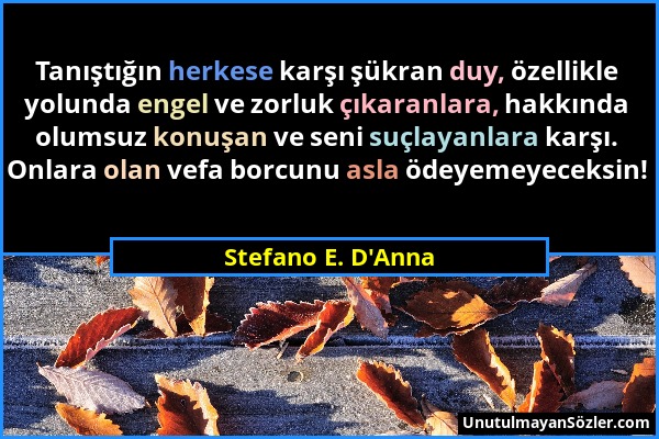 Stefano E. D'Anna - Tanıştığın herkese karşı şükran duy, özellikle yolunda engel ve zorluk çıkaranlara, hakkında olumsuz konuşan ve seni suçlayanlara...