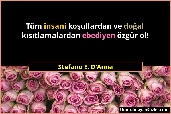 Stefano E. D'Anna - Tüm insani koşullardan ve doğal kısıtlamalardan ebediyen özgür ol!...