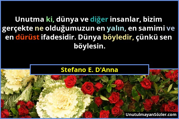 Stefano E. D'Anna - Unutma ki, dünya ve diğer insanlar, bizim gerçekte ne olduğumuzun en yalın, en samimi ve en dürüst ifadesidir. Dünya böyledir, çün...
