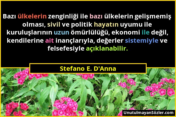 Stefano E. D'Anna - Bazı ülkelerin zenginliği ile bazı ülkelerin gelişmemiş olması, sivil ve politik hayatın uyumu ile kuruluşlarının uzun ömürlülüğü,...