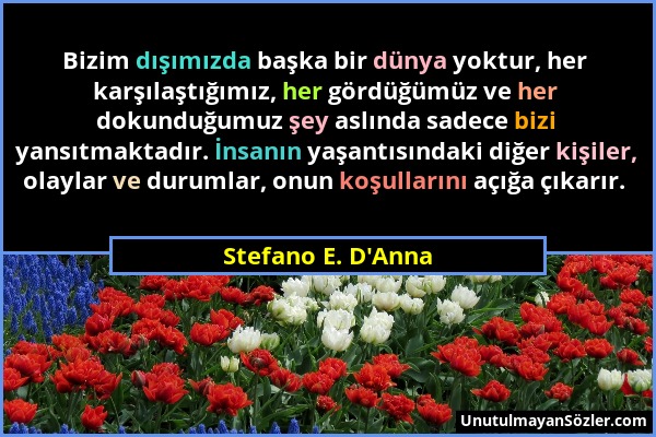 Stefano E. D'Anna - Bizim dışımızda başka bir dünya yoktur, her karşılaştığımız, her gördüğümüz ve her dokunduğumuz şey aslında sadece bizi yansıtmakt...