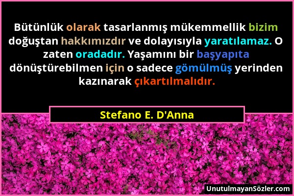 Stefano E. D'Anna - Bütünlük olarak tasarlanmış mükemmellik bizim doğuştan hakkımızdır ve dolayısıyla yaratılamaz. O zaten oradadır. Yaşamını bir başy...