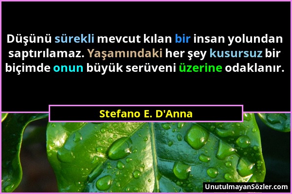 Stefano E. D'Anna - Düşünü sürekli mevcut kılan bir insan yolundan saptırılamaz. Yaşamındaki her şey kusursuz bir biçimde onun büyük serüveni üzerine...