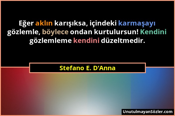 Stefano E. D'Anna - Eğer aklın karışıksa, içindeki karmaşayı gözlemle, böylece ondan kurtulursun! Kendini gözlemleme kendini düzeltmedir....