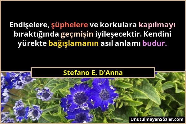 Stefano E. D'Anna - Endişelere, şüphelere ve korkulara kapılmayı bıraktığında geçmişin iyileşecektir. Kendini yürekte bağışlamanın asıl anlamı budur....