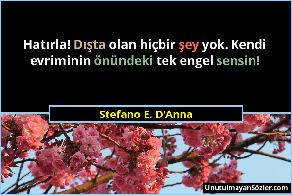 Stefano E. D'Anna - Hatırla! Dışta olan hiçbir şey yok. Kendi evriminin önündeki tek engel sensin!...