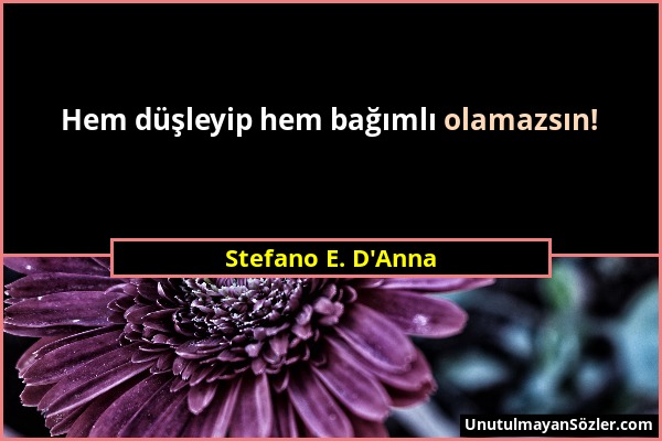Stefano E. D'Anna - Hem düşleyip hem bağımlı olamazsın!...