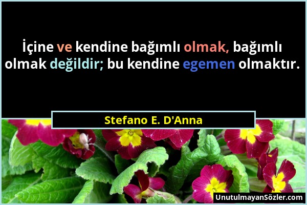 Stefano E. D'Anna - İçine ve kendine bağımlı olmak, bağımlı olmak değildir; bu kendine egemen olmaktır....