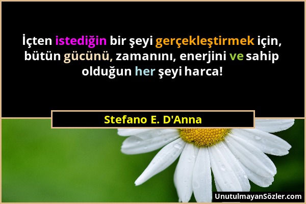 Stefano E. D'Anna - İçten istediğin bir şeyi gerçekleştirmek için, bütün gücünü, zamanını, enerjini ve sahip olduğun her şeyi harca!...