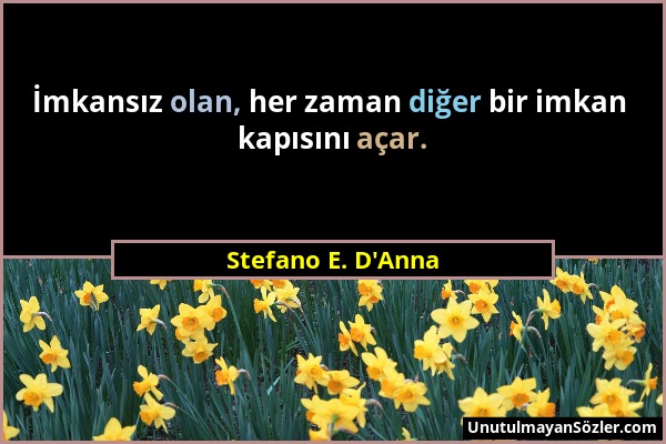 Stefano E. D'Anna - İmkansız olan, her zaman diğer bir imkan kapısını açar....
