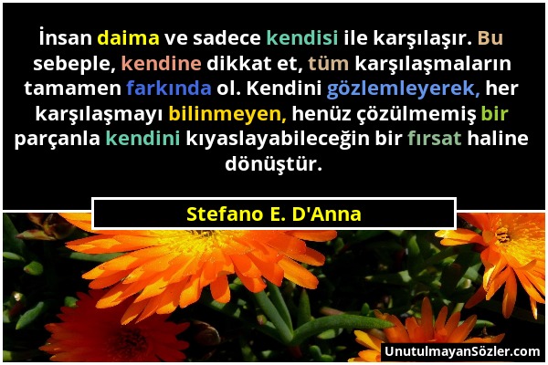 Stefano E. D'Anna - İnsan daima ve sadece kendisi ile karşılaşır. Bu sebeple, kendine dikkat et, tüm karşılaşmaların tamamen farkında ol. Kendini gözl...