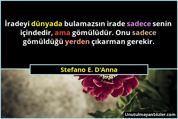 Stefano E. D'Anna - İradeyi dünyada bulamazsın irade sadece senin içindedir, ama gömülüdür. Onu sadece gömüldüğü yerden çıkarman gerekir....