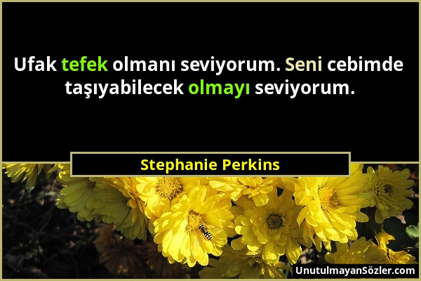 Stephanie Perkins - Ufak tefek olmanı seviyorum. Seni cebimde taşıyabilecek olmayı seviyorum....