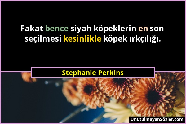 Stephanie Perkins - Fakat bence siyah köpeklerin en son seçilmesi kesinlikle köpek ırkçılığı....