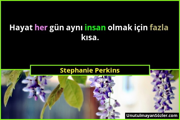 Stephanie Perkins - Hayat her gün aynı insan olmak için fazla kısa....