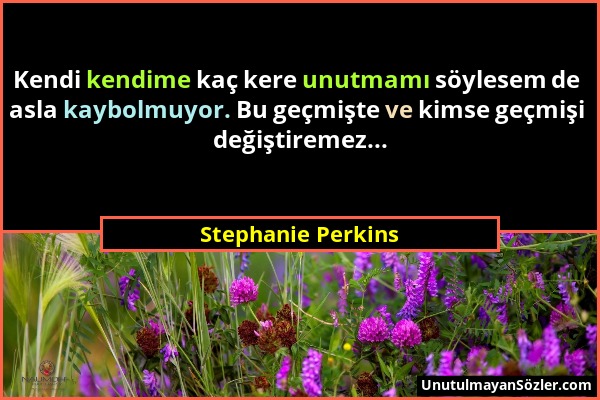 Stephanie Perkins - Kendi kendime kaç kere unutmamı söylesem de asla kaybolmuyor. Bu geçmişte ve kimse geçmişi değiştiremez......