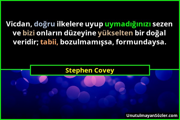 Stephen Covey - Vicdan, doğru ilkelere uyup uymadığınızı sezen ve bizi onların düzeyine yükselten bir doğal veridir; tabii, bozulmamışsa, formundaysa....