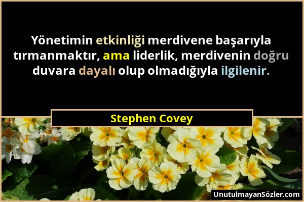 Stephen Covey - Yönetimin etkinliği merdivene başarıyla tırmanmaktır, ama liderlik, merdivenin doğru duvara dayalı olup olmadığıyla ilgilenir....