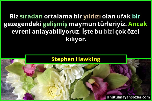 Stephen Hawking - Biz sıradan ortalama bir yıldızı olan ufak bir gezegendeki gelişmiş maymun türleriyiz. Ancak evreni anlayabiliyoruz. İşte bu bizi ço...