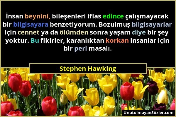 Stephen Hawking - İnsan beynini, bileşenleri iflas edince çalışmayacak bir bilgisayara benzetiyorum. Bozulmuş bilgisayarlar için cennet ya da ölümden...