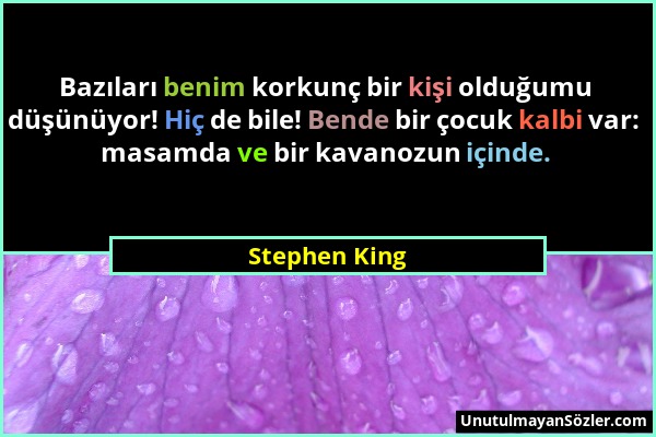 Stephen King - Bazıları benim korkunç bir kişi olduğumu düşünüyor! Hiç de bile! Bende bir çocuk kalbi var: masamda ve bir kavanozun içinde....