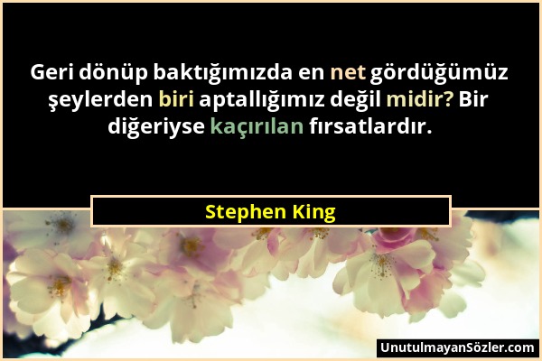 Stephen King - Geri dönüp baktığımızda en net gördüğümüz şeylerden biri aptallığımız değil midir? Bir diğeriyse kaçırılan fırsatlardır....