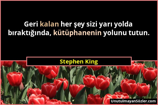 Stephen King - Geri kalan her şey sizi yarı yolda bıraktığında, kütüphanenin yolunu tutun....