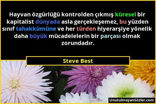 Steve Best - Hayvan özgürlüğü kontrolden çıkmış küresel bir kapitalist dünyada asla gerçekleşemez, bu yüzden sınıf tahakkümüne ve her türden hiyerarşi...